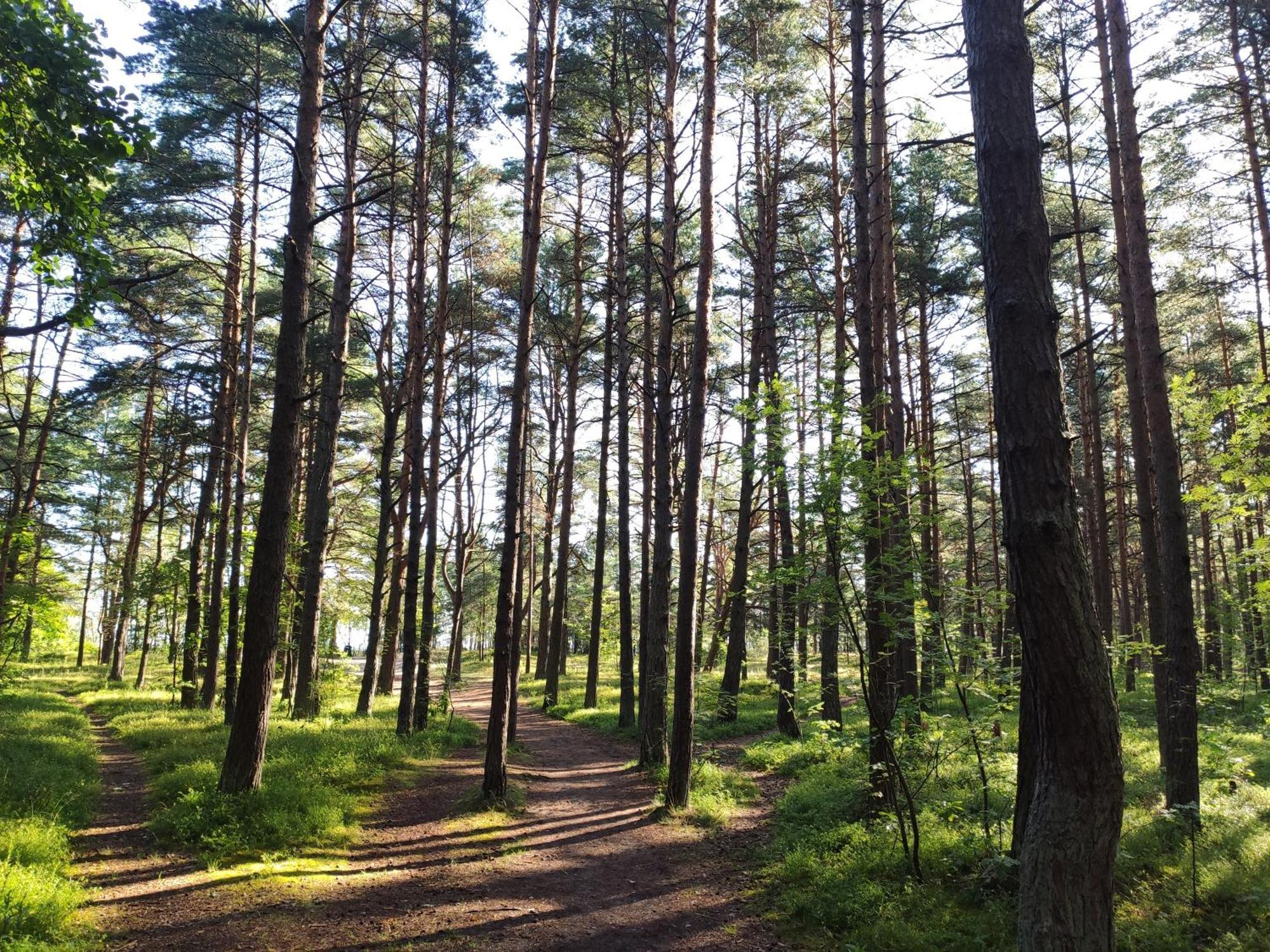 Flip-Flops Apartment Jurmala With Free Parking Exterior foto