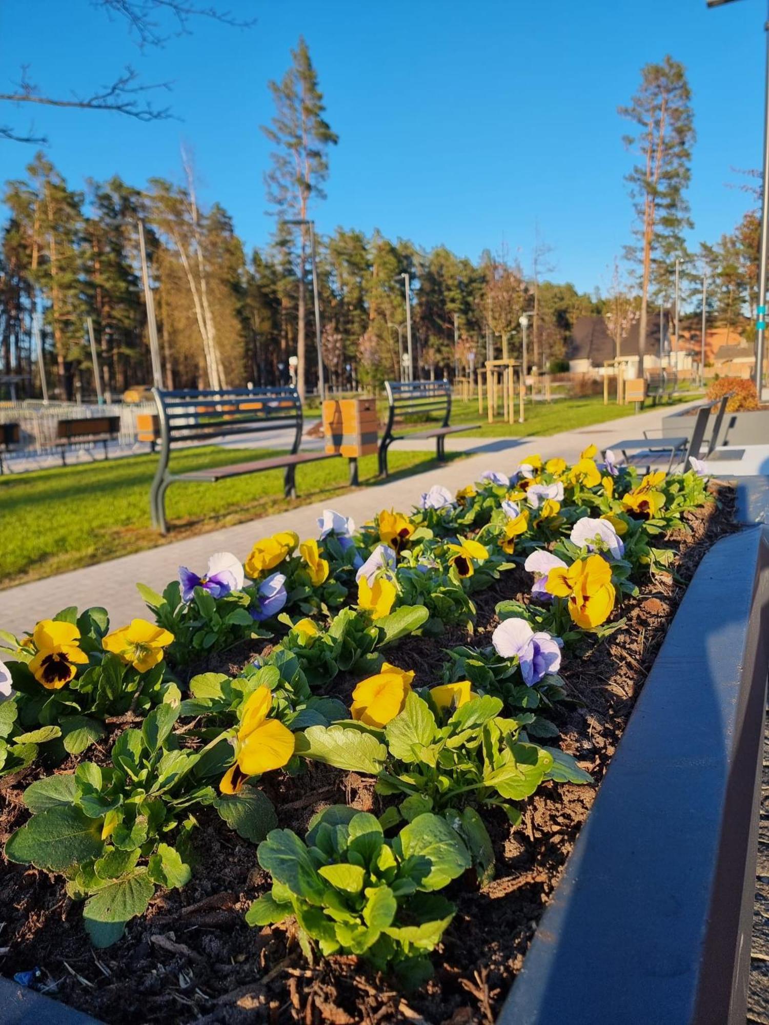 Flip-Flops Apartment Jurmala With Free Parking Exterior foto